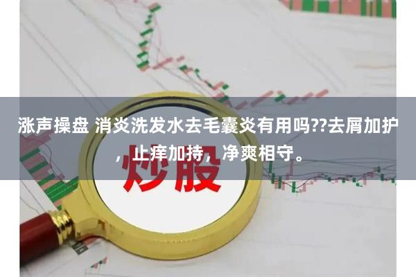 涨声操盘 消炎洗发水去毛囊炎有用吗??去屑加护，止痒加持，净爽相守。