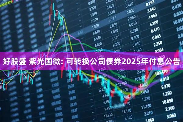 好股盛 紫光国微: 可转换公司债券2025年付息公告