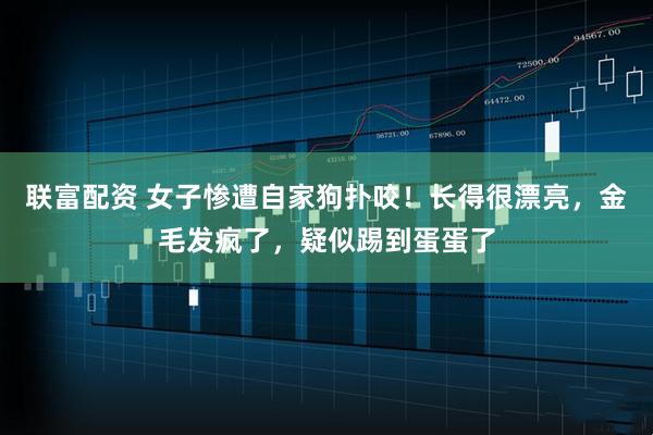 联富配资 女子惨遭自家狗扑咬！长得很漂亮，金毛发疯了，疑似踢到蛋蛋了