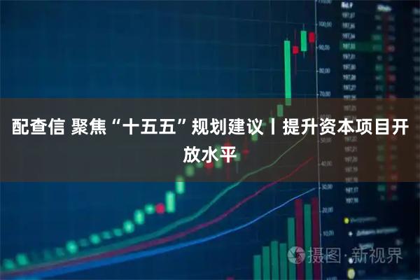配查信 聚焦“十五五”规划建议丨提升资本项目开放水平