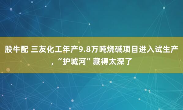 股牛配 三友化工年产9.8万吨烧碱项目进入试生产, “护城河”藏得太深了