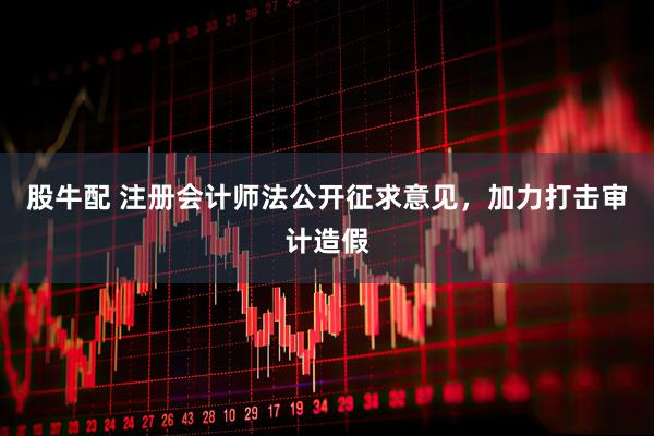 股牛配 注册会计师法公开征求意见，加力打击审计造假