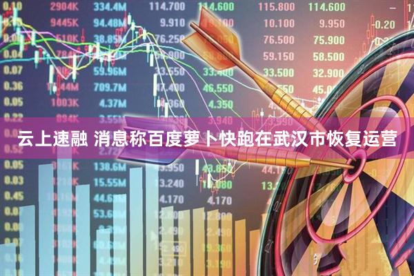 云上速融 消息称百度萝卜快跑在武汉市恢复运营